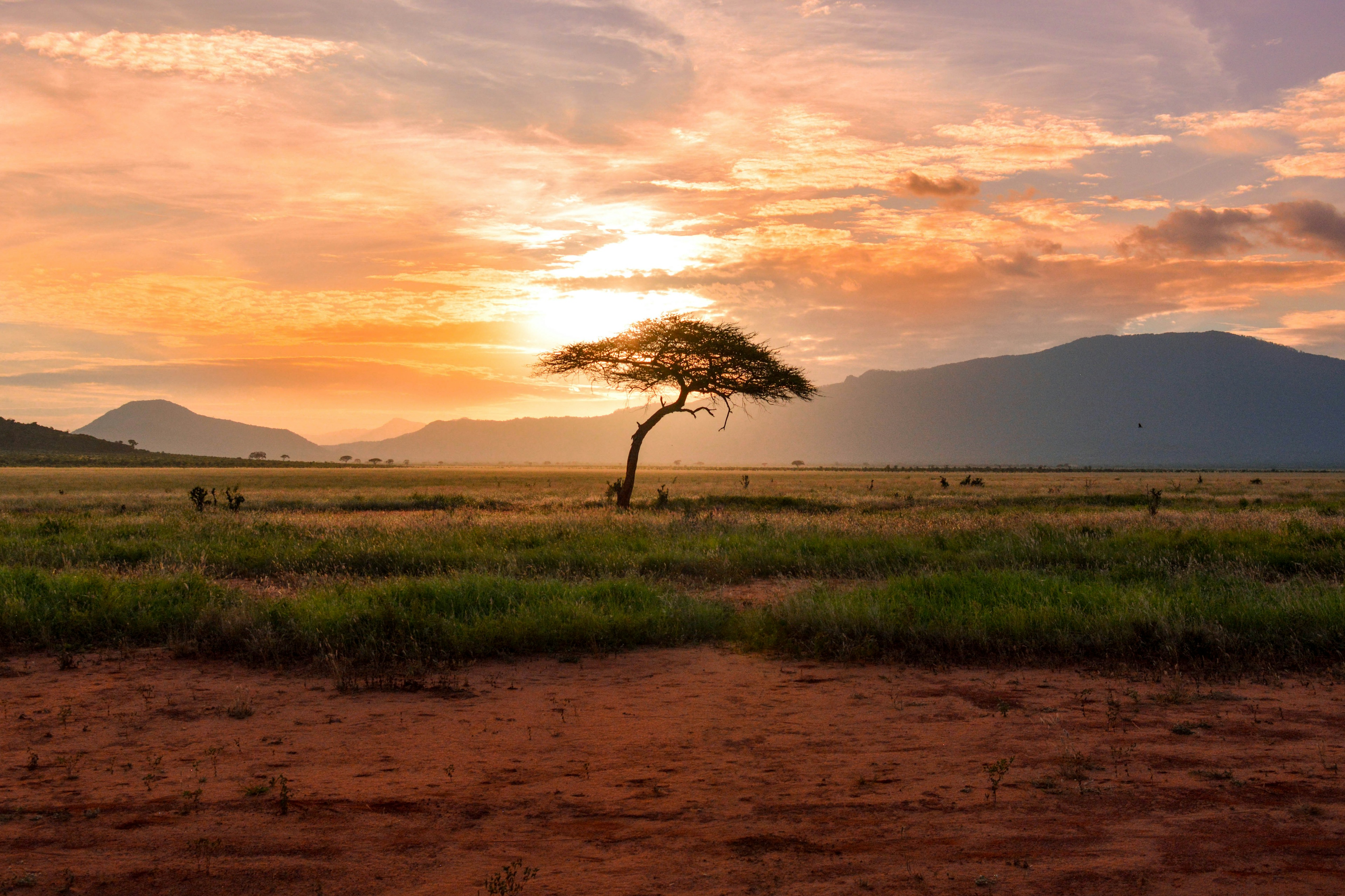 Serengeti Balloon Safari - Vast green volcanic caldera of the Ngorongoro Crater filled with wild game herds Tanzania